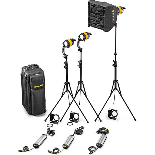 Dedolight 3 Light DLED Kit - BICOLOR (BASIC) - 3x DLED4-BI with soft box and accessories
AC only (90-264  V AC, European cable), comes with DSC1/1-200 soft case
